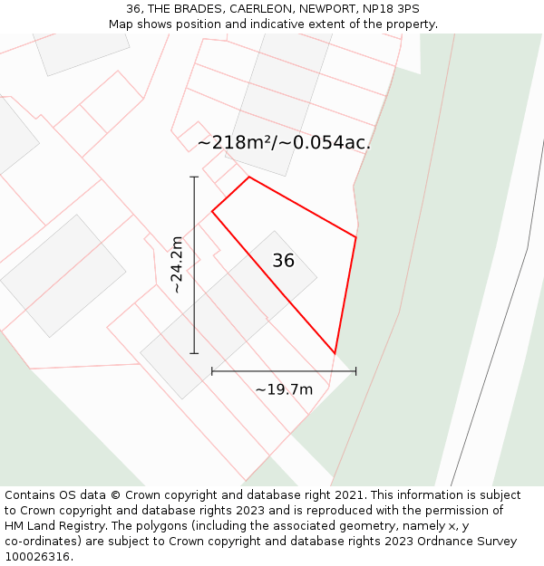 36, THE BRADES, CAERLEON, NEWPORT, NP18 3PS: Plot and title map