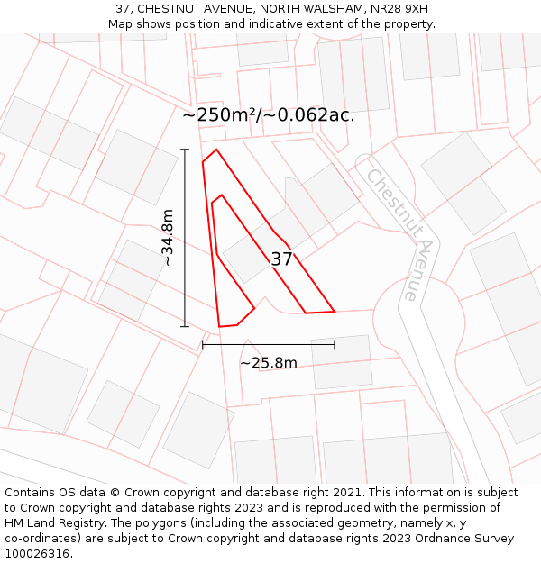 37, CHESTNUT AVENUE, NORTH WALSHAM, NR28 9XH: Plot and title map