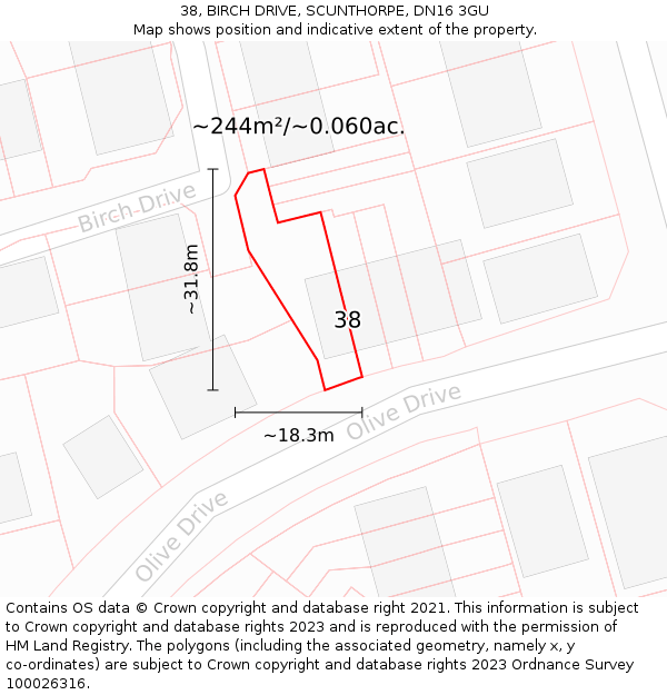 38, BIRCH DRIVE, SCUNTHORPE, DN16 3GU: Plot and title map