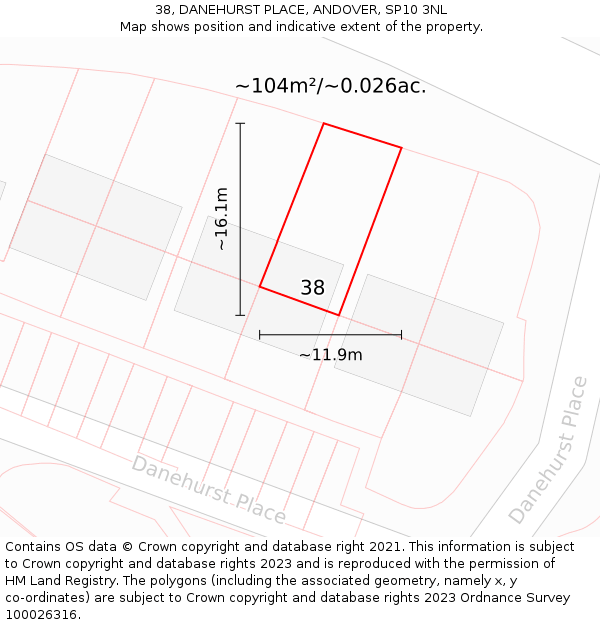 38, DANEHURST PLACE, ANDOVER, SP10 3NL: Plot and title map