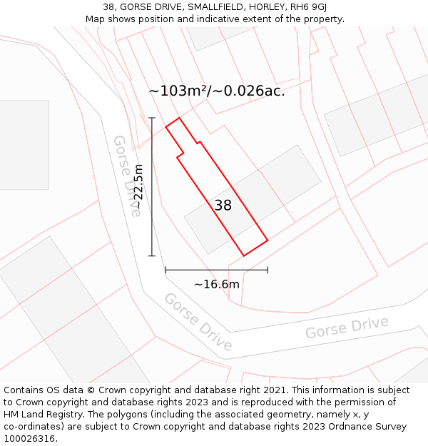 38, GORSE DRIVE, SMALLFIELD, HORLEY, RH6 9GJ: Plot and title map