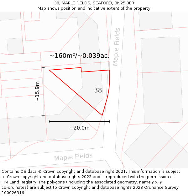 38, MAPLE FIELDS, SEAFORD, BN25 3ER: Plot and title map