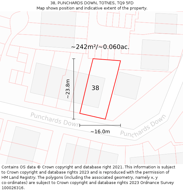 38, PUNCHARDS DOWN, TOTNES, TQ9 5FD: Plot and title map