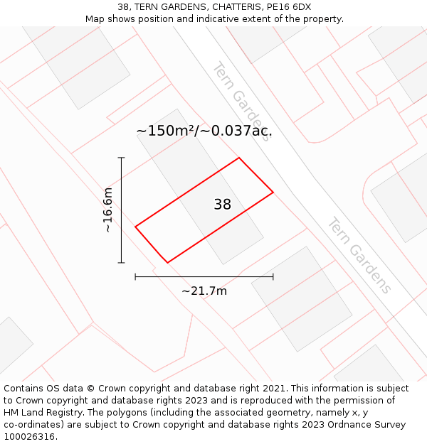 38, TERN GARDENS, CHATTERIS, PE16 6DX: Plot and title map