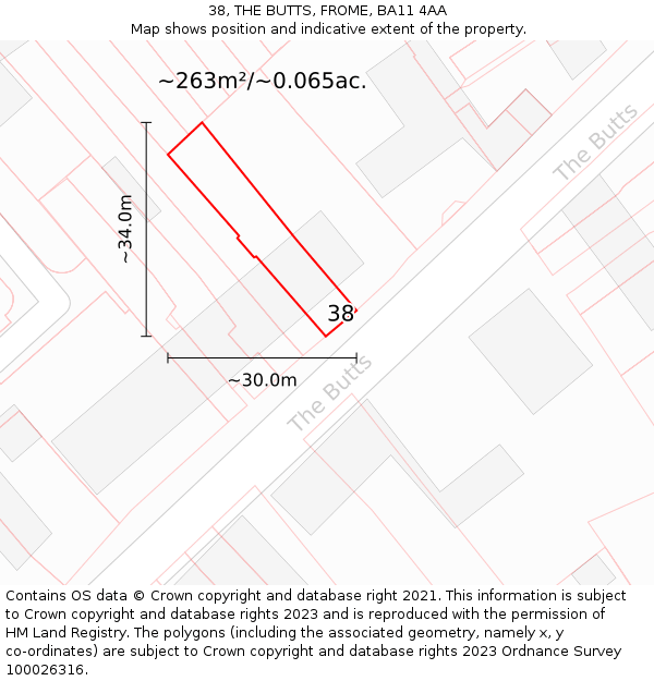 38, THE BUTTS, FROME, BA11 4AA: Plot and title map
