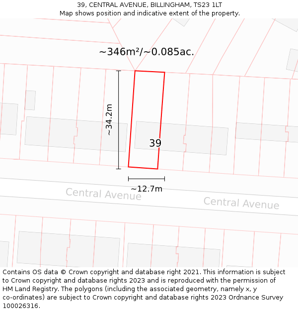 39, CENTRAL AVENUE, BILLINGHAM, TS23 1LT: Plot and title map