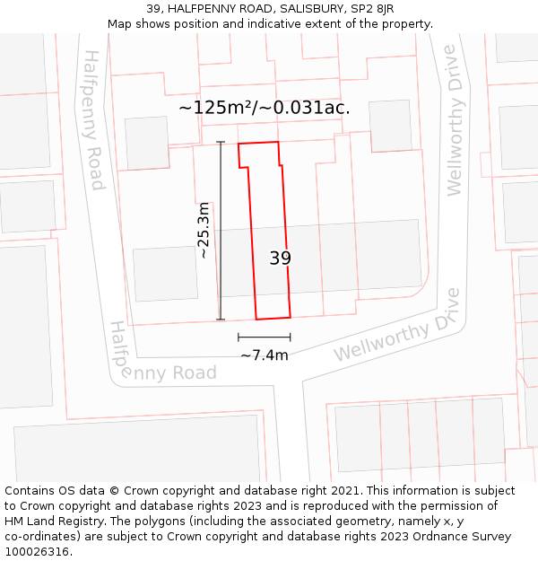 39, HALFPENNY ROAD, SALISBURY, SP2 8JR: Plot and title map