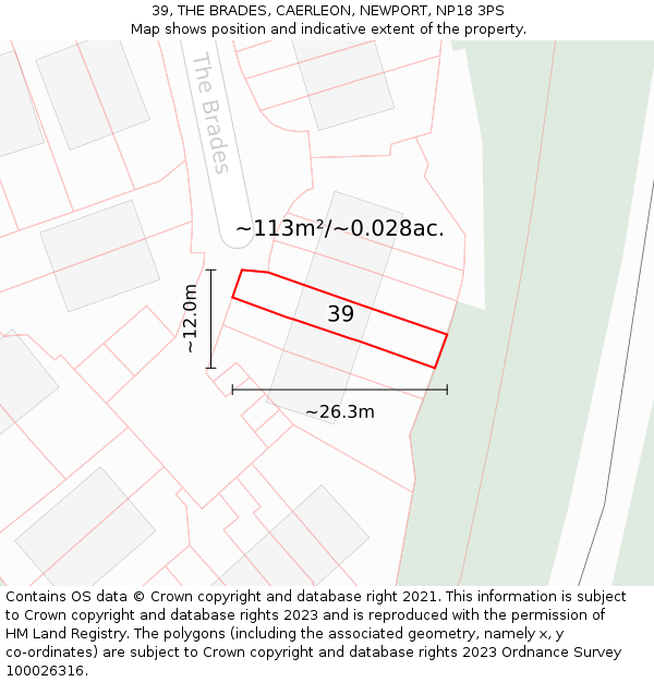 39, THE BRADES, CAERLEON, NEWPORT, NP18 3PS: Plot and title map