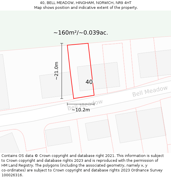 40, BELL MEADOW, HINGHAM, NORWICH, NR9 4HT: Plot and title map