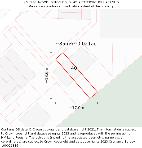 40, BIRCHWOOD, ORTON GOLDHAY, PETERBOROUGH, PE2 5UQ: Plot and title map