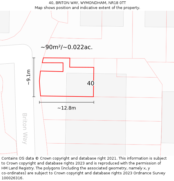 40, BRITON WAY, WYMONDHAM, NR18 0TT: Plot and title map