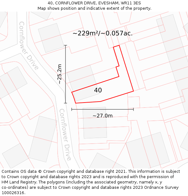40, CORNFLOWER DRIVE, EVESHAM, WR11 3ES: Plot and title map