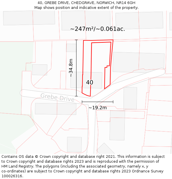 40, GREBE DRIVE, CHEDGRAVE, NORWICH, NR14 6GH: Plot and title map