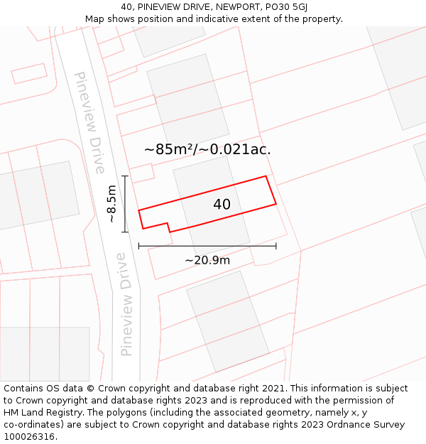 40, PINEVIEW DRIVE, NEWPORT, PO30 5GJ: Plot and title map