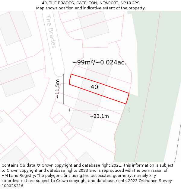 40, THE BRADES, CAERLEON, NEWPORT, NP18 3PS: Plot and title map