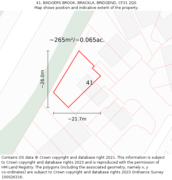 41, BADGERS BROOK, BRACKLA, BRIDGEND, CF31 2QS: Plot and title map