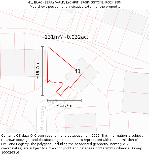 41, BLACKBERRY WALK, LYCHPIT, BASINGSTOKE, RG24 8SN: Plot and title map