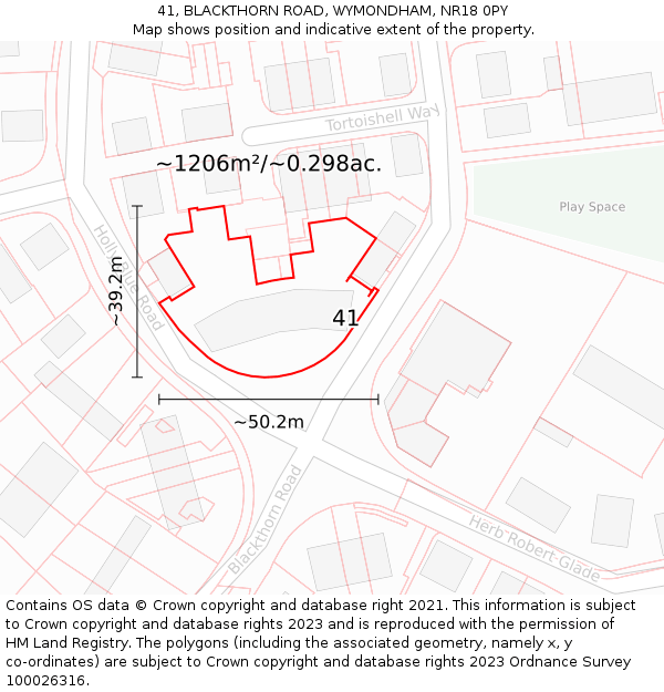 41, BLACKTHORN ROAD, WYMONDHAM, NR18 0PY: Plot and title map