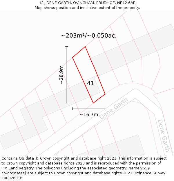 41, DENE GARTH, OVINGHAM, PRUDHOE, NE42 6AP: Plot and title map