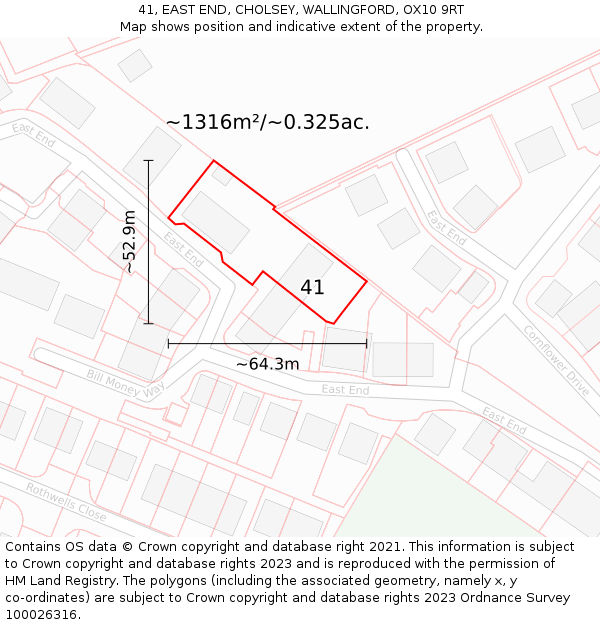 41, EAST END, CHOLSEY, WALLINGFORD, OX10 9RT: Plot and title map
