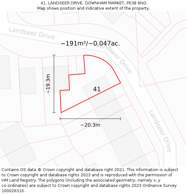 41, LANDSEER DRIVE, DOWNHAM MARKET, PE38 9NG: Plot and title map