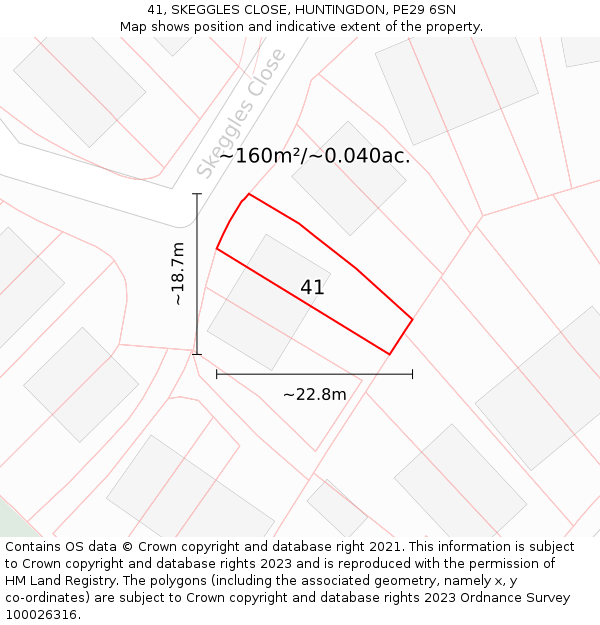 41, SKEGGLES CLOSE, HUNTINGDON, PE29 6SN: Plot and title map