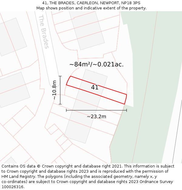 41, THE BRADES, CAERLEON, NEWPORT, NP18 3PS: Plot and title map