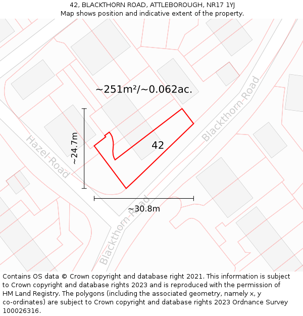 42, BLACKTHORN ROAD, ATTLEBOROUGH, NR17 1YJ: Plot and title map