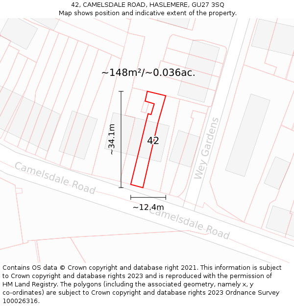 42, CAMELSDALE ROAD, HASLEMERE, GU27 3SQ: Plot and title map
