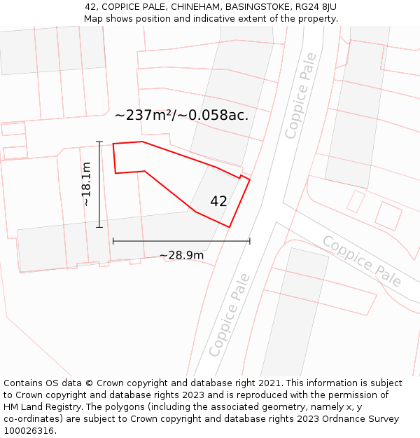 42, COPPICE PALE, CHINEHAM, BASINGSTOKE, RG24 8JU: Plot and title map