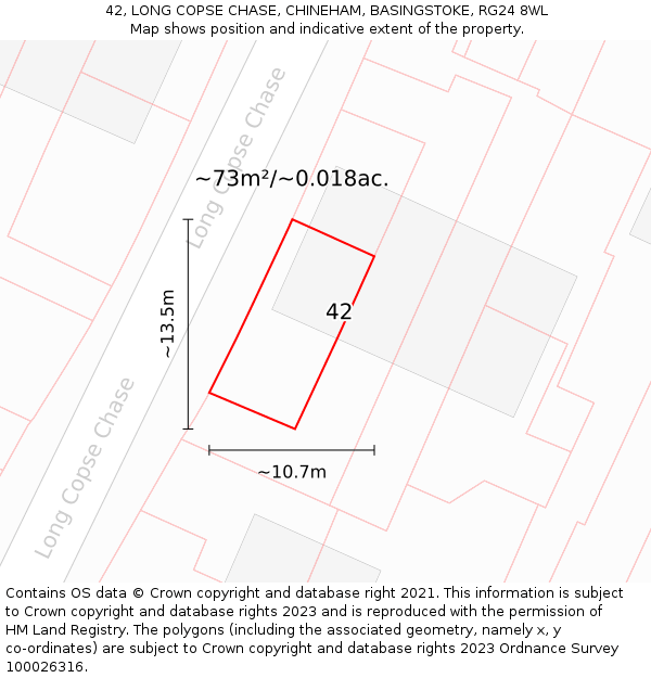 42, LONG COPSE CHASE, CHINEHAM, BASINGSTOKE, RG24 8WL: Plot and title map