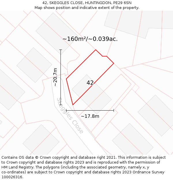 42, SKEGGLES CLOSE, HUNTINGDON, PE29 6SN: Plot and title map