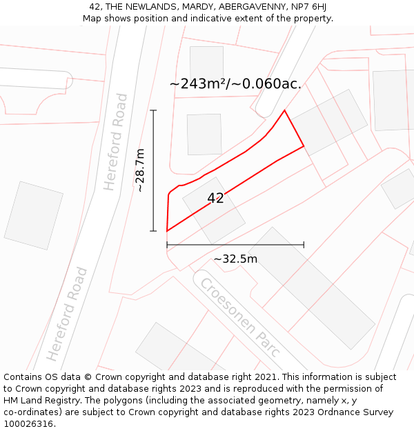 42, THE NEWLANDS, MARDY, ABERGAVENNY, NP7 6HJ: Plot and title map