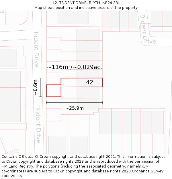 42, TRIDENT DRIVE, BLYTH, NE24 3RL: Plot and title map