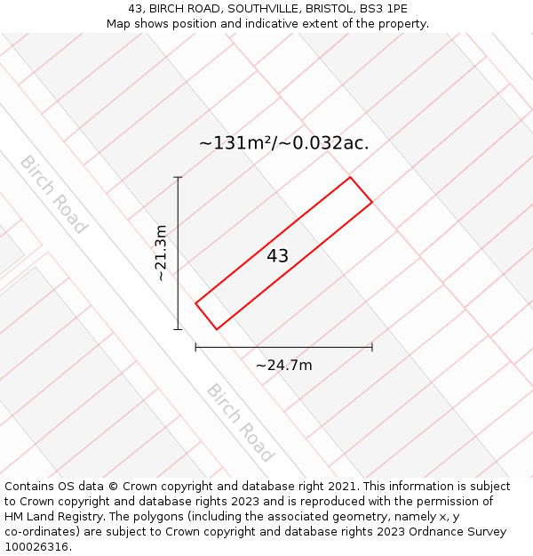 43, BIRCH ROAD, SOUTHVILLE, BRISTOL, BS3 1PE: Plot and title map
