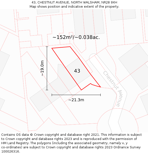 43, CHESTNUT AVENUE, NORTH WALSHAM, NR28 9XH: Plot and title map