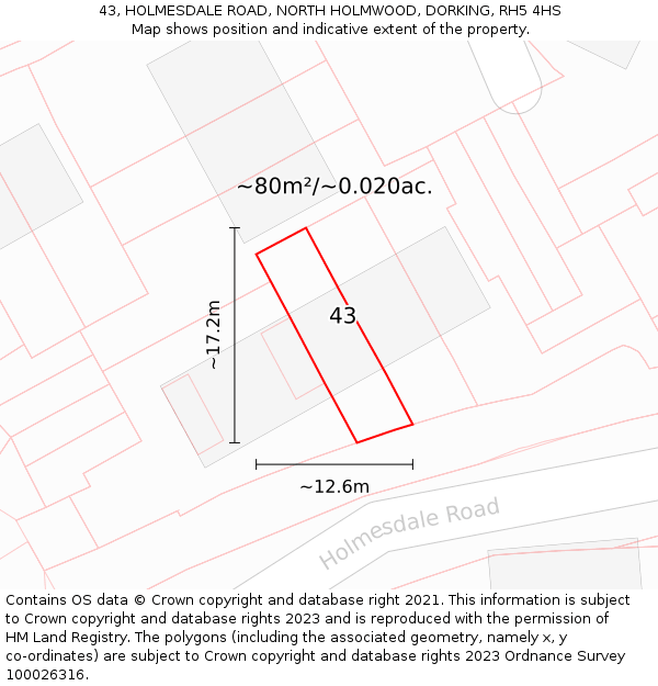 43, HOLMESDALE ROAD, NORTH HOLMWOOD, DORKING, RH5 4HS: Plot and title map