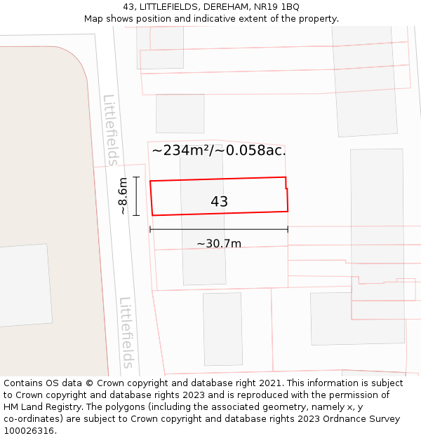 43, LITTLEFIELDS, DEREHAM, NR19 1BQ: Plot and title map