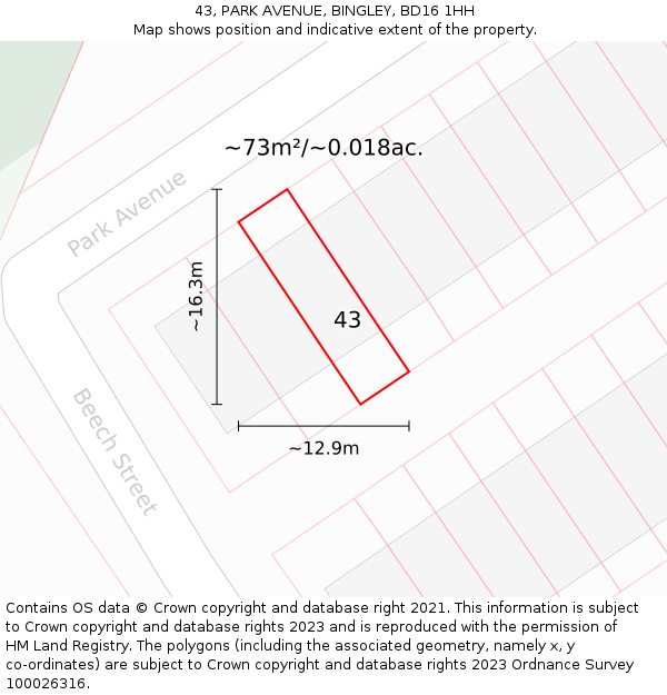 43, PARK AVENUE, BINGLEY, BD16 1HH: Plot and title map