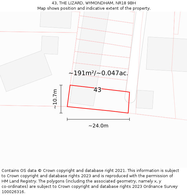 43, THE LIZARD, WYMONDHAM, NR18 9BH: Plot and title map
