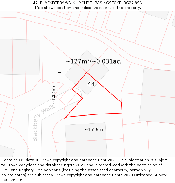 44, BLACKBERRY WALK, LYCHPIT, BASINGSTOKE, RG24 8SN: Plot and title map