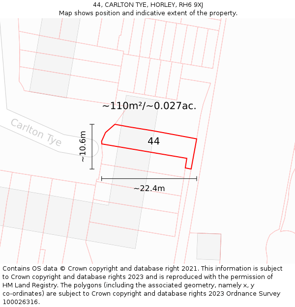 44, CARLTON TYE, HORLEY, RH6 9XJ: Plot and title map