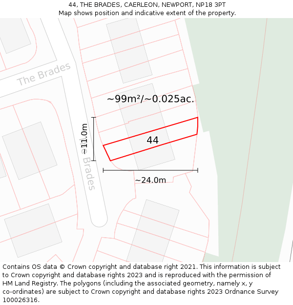 44, THE BRADES, CAERLEON, NEWPORT, NP18 3PT: Plot and title map
