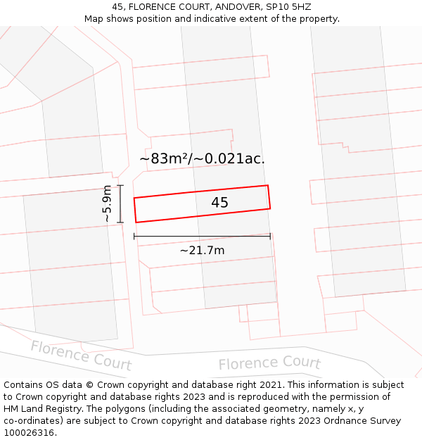 45, FLORENCE COURT, ANDOVER, SP10 5HZ: Plot and title map