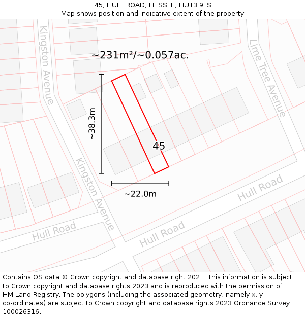 45, HULL ROAD, HESSLE, HU13 9LS: Plot and title map