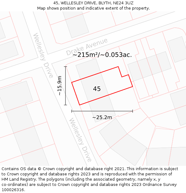 45, WELLESLEY DRIVE, BLYTH, NE24 3UZ: Plot and title map