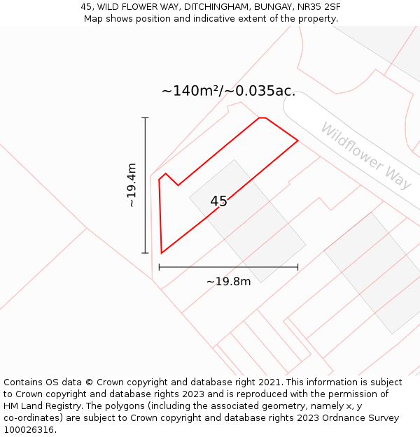 45, WILD FLOWER WAY, DITCHINGHAM, BUNGAY, NR35 2SF: Plot and title map