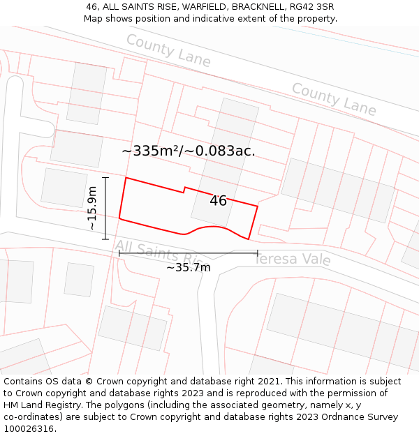 46, ALL SAINTS RISE, WARFIELD, BRACKNELL, RG42 3SR: Plot and title map