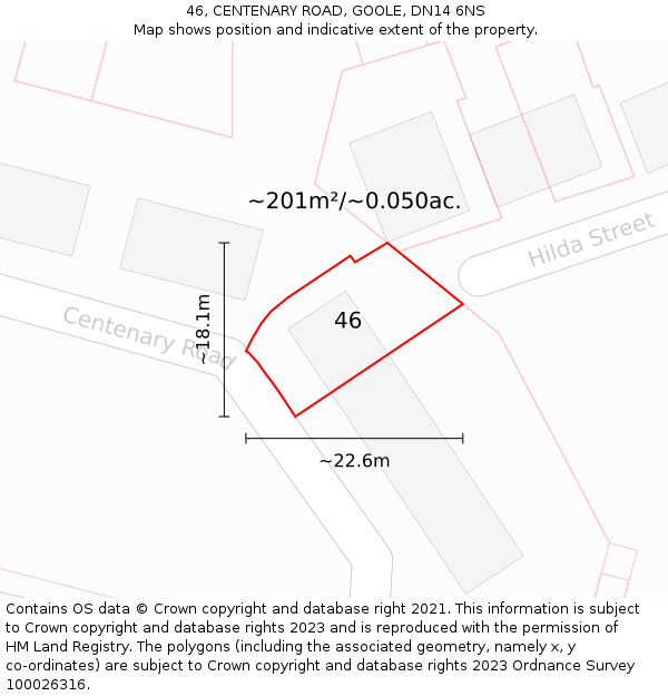 46, CENTENARY ROAD, GOOLE, DN14 6NS: Plot and title map