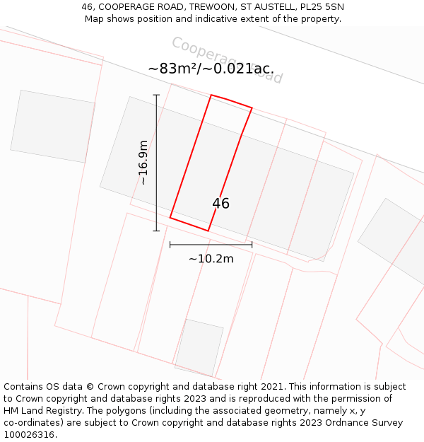46, COOPERAGE ROAD, TREWOON, ST AUSTELL, PL25 5SN: Plot and title map